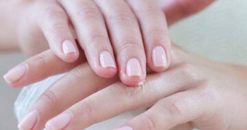 Freepik/Racool_studio